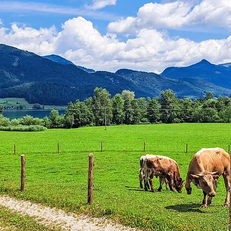 Penthouse Deluxe Galerie 2 Stoeckig By Interhome Apartman Strobl