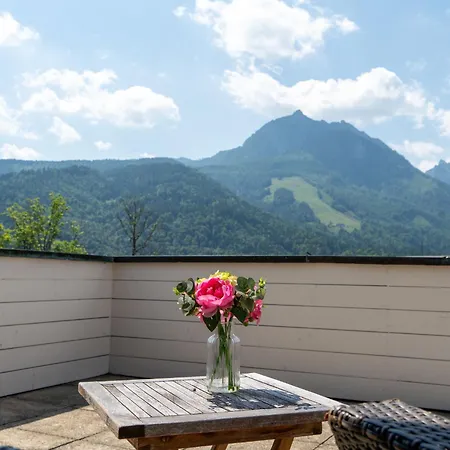 Penthouse Deluxe Galerie 2 Stoeckig By Interhome Strobl