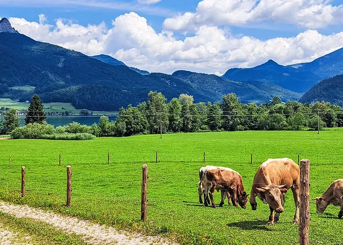 Penthouse Deluxe Galerie 2 Stoeckig By Interhome Διαμέρισμα Strobl